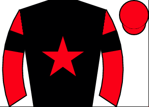 Horse silk