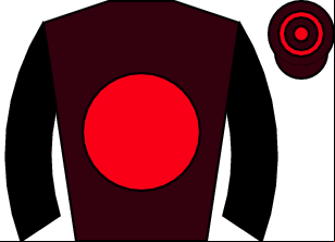 Horse silk