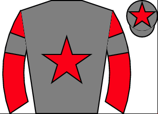 Horse silk