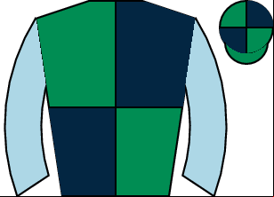 Horse silk