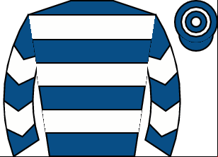 Horse silk