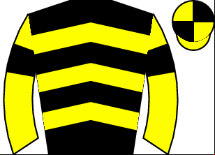 Horse silk