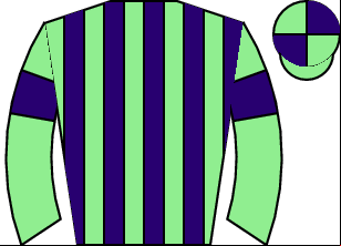 Horse silk