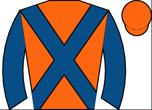 Horse silk