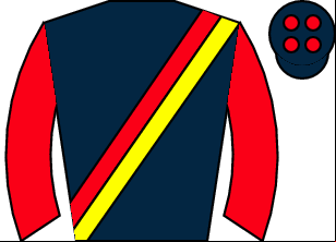 Horse silk