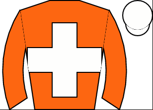 Horse silk