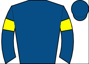 Horse silk