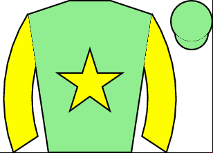 Horse silk