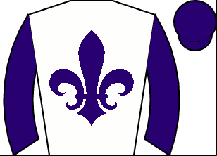 Horse silk