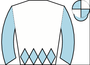 Horse silk