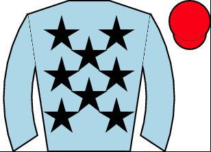 Horse silk