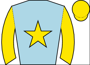 Horse silk