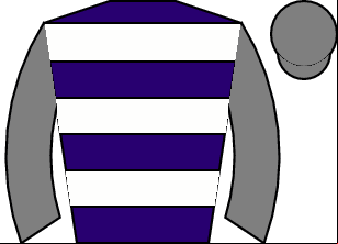 Horse silk