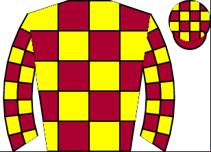 Horse silk