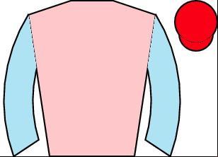 Horse silk