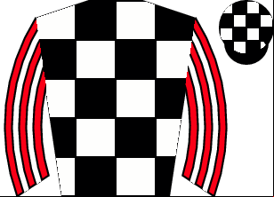 Horse silk