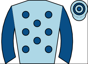 Horse silk