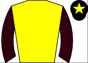 Horse silk
