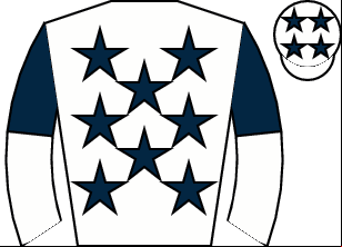 Horse silk