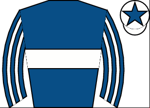 Horse silk