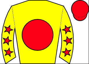 Horse silk