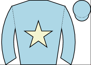 Horse silk
