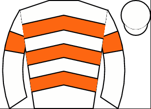 Horse silk
