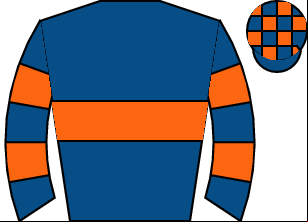 Horse silk