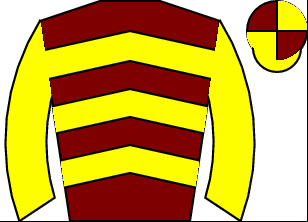 Horse silk
