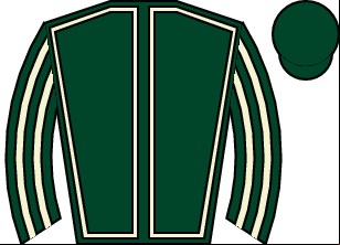 Horse silk