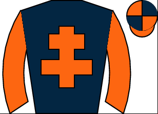 Horse silk