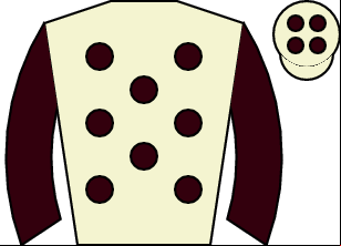 Horse silk