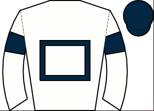 Horse silk