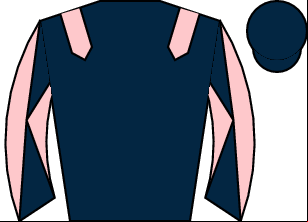 Horse silk