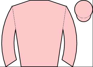 Horse silk