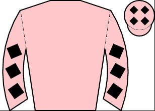 Horse silk