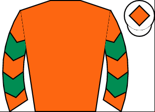Horse silk