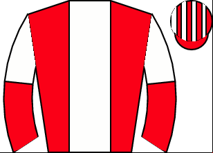 Horse silk