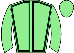 Horse silk