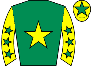 Horse silk