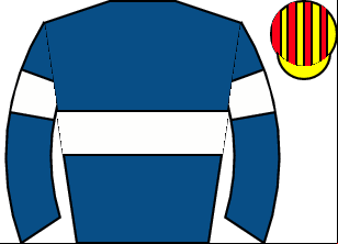 Horse silk