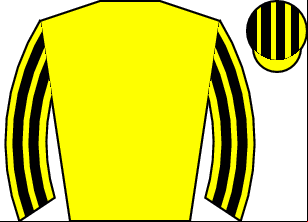 Horse silk