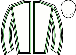 Horse silk