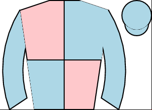 Horse silk