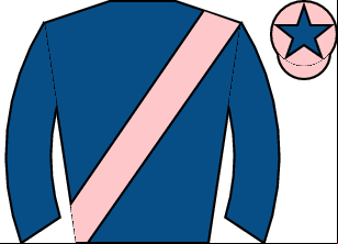 Horse silk