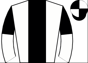 Horse silk