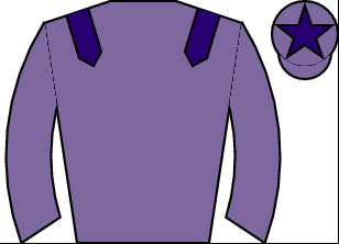 Horse silk