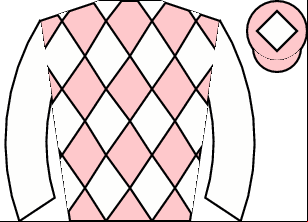 Horse silk