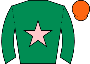 Horse silk