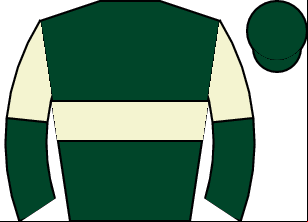 Horse silk